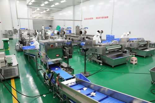 拜泉縣 技術咨詢賦能重點項目，全力開創建設新局面